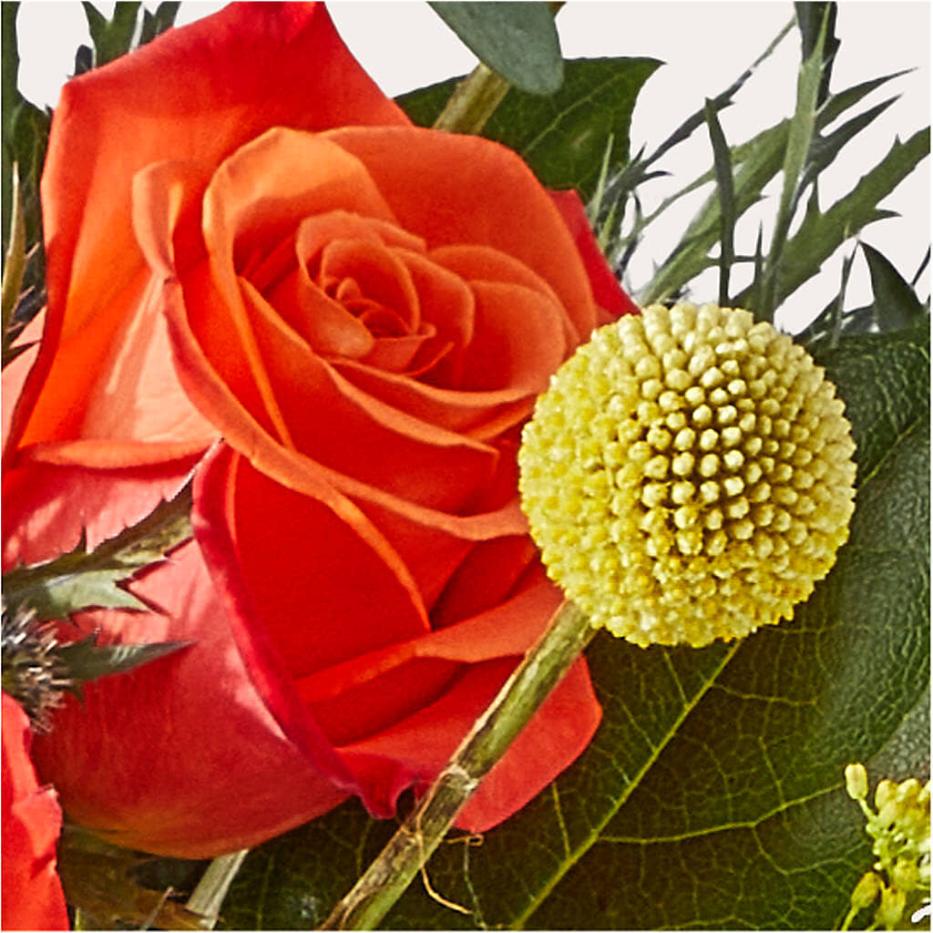 Disco Bouquet –  Hilltop Florist Llc, Stanford KY