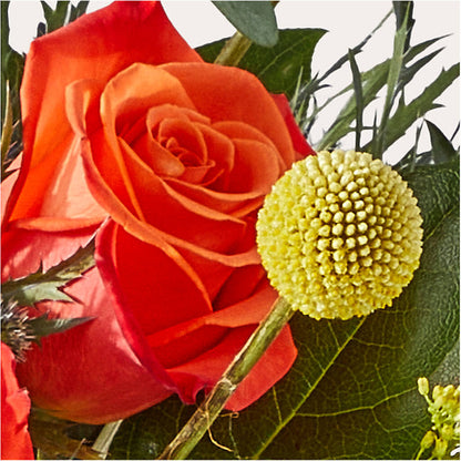 Disco Bouquet –  Hilltop Florist Llc, Stanford KY
