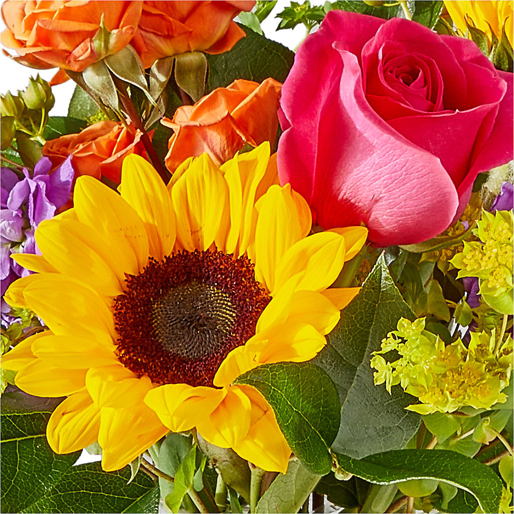 Vibrant Greetings Bouquet –  Hilltop Florist Llc, Stanford KY