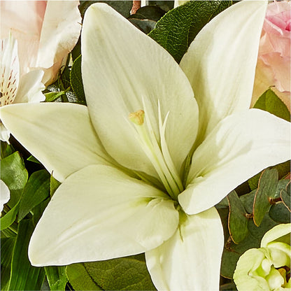 Ballet Slippers Bouquet –  Hilltop Florist Llc, Stanford KY