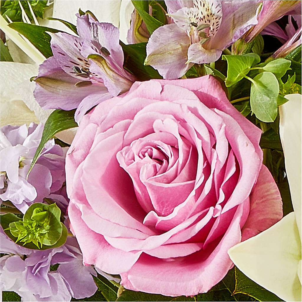 Daydreamer Bouquet –  Hilltop Florist Llc, Stanford KY