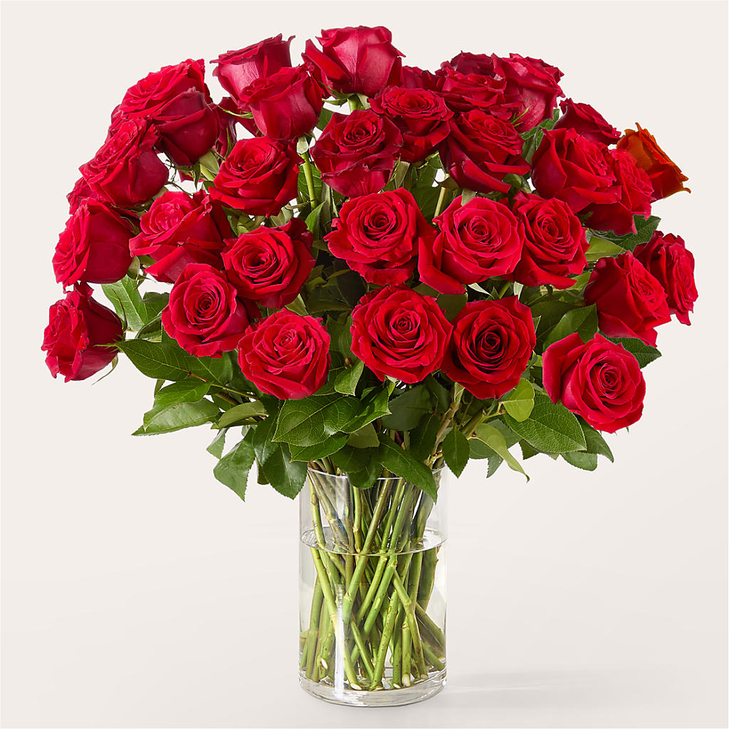 The One Red Rose Bouquet –  Hilltop Florist Llc, Stanford KY