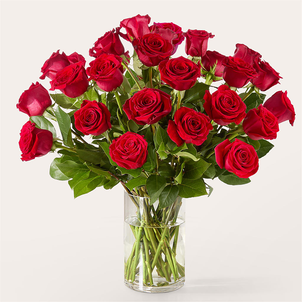 The One Red Rose Bouquet –  Hilltop Florist Llc, Stanford KY