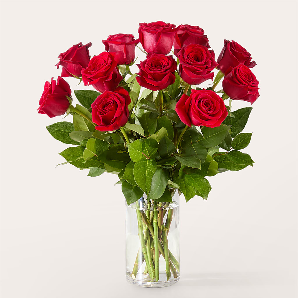 The One Red Rose Bouquet –  Hilltop Florist Llc, Stanford KY