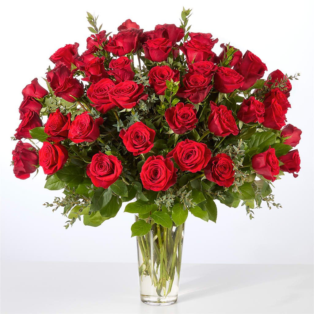 Forever Yours Fifty Stem Red Rose Bouquet –  Hilltop Florist Llc, Stanford KY