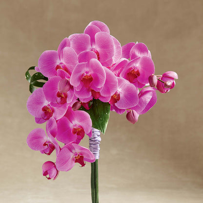 Glorious Bouquet –  Hilltop Florist Llc, Stanford KY