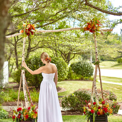Arbor of Love Archway –  Hilltop Florist Llc, Stanford KY
