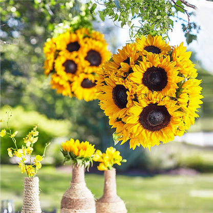 Sublime Garden Hanging Arrangement –  Hilltop Florist Llc, Stanford KY