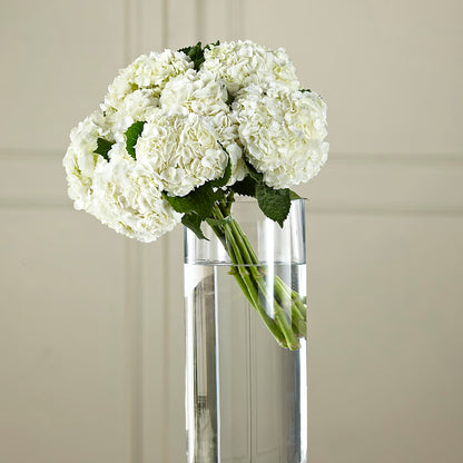 White Hydrangea Hand-Tied Bouquet –  Hilltop Florist Llc, Stanford KY