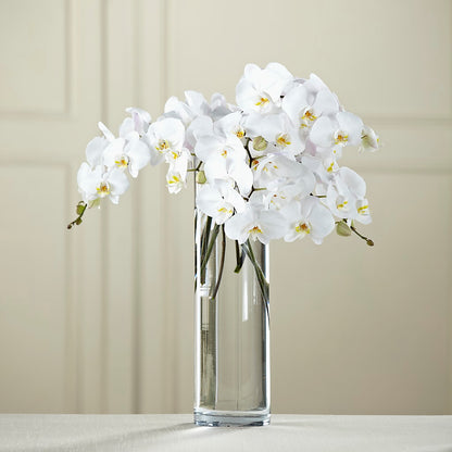 White Phalaenopsis Bouquet –  Hilltop Florist Llc, Stanford KY