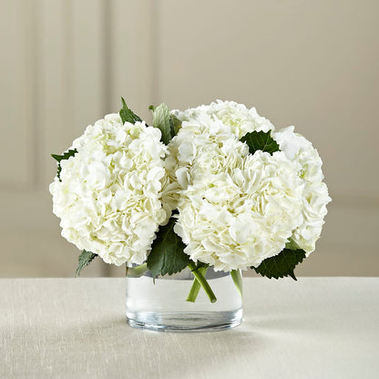 White Hydrangea Bouquet –  Hilltop Florist Llc, Stanford KY